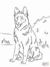 Coloring German Pages Shepherd Adult Printable Colouring sketch template