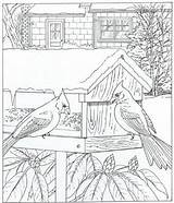 Kleurplaat Kleurplaten Feeder Cardinals Ums Colouring Huis Rondom Volwassenen Oiseaux sketch template