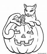 Coloring Halloween Cat Pumpkin Pages Printable Print Color sketch template