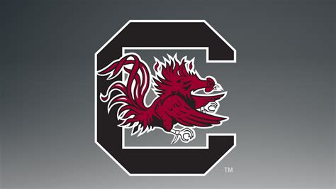 University Of South Carolina Wallpaper Wallpapersafari