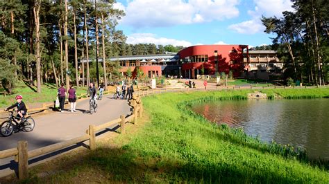 center parcs woburn forest holder mathias architects