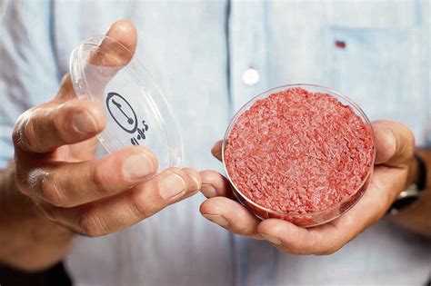 laborfleisch wird die fleischeslust oekologischer und oekonomischer
