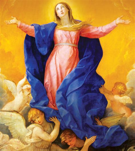 solemnity   immaculate conception