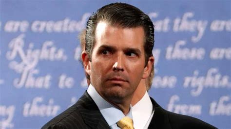 donald trump jr releases private emails  russia meeting  air  fox news