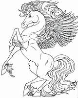 Pegasus Coloring Pages Unicorn Horse Unicorns Wings Realistic Printable Adults Colouring Kids Funny Baby Color Coloring4free Drawings Drawing Print Adult sketch template
