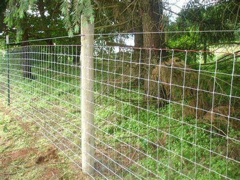 sheep goat mesh wire fence  statewide fence  farm critters pinterest wire fence