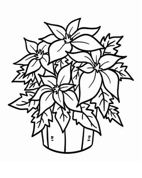coloring pages flower coloring pages printable christmas