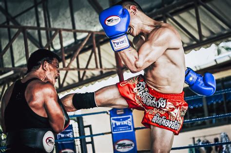 tiger muay thai camp in phuket mixed martial arts excellence in