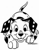 Coloring Pages Dalmatians 101 Playful Domino Disney Disneyclips Oddball Clipartmag Funstuff sketch template