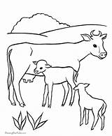 Cow Coloring Pages Printable Clipart Color Horse Farm Library sketch template