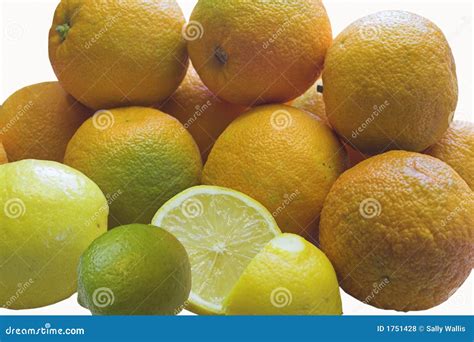seville oranges stock photo image  citric acidic lime