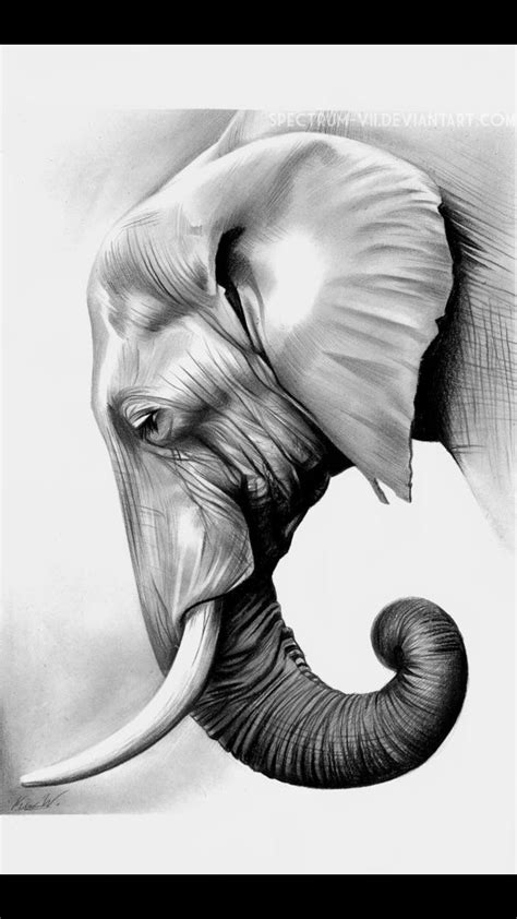 dibujos  lapiz de elefantes fuchotattoo elefante dibujo surrealista