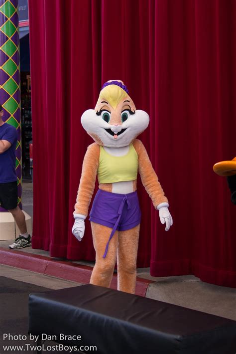 Lola Bunny At Disney Character Central