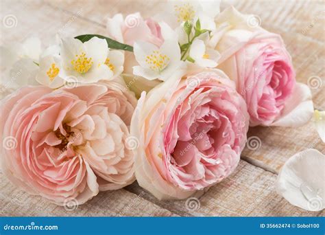 postcard  elegant flowers stock photo image