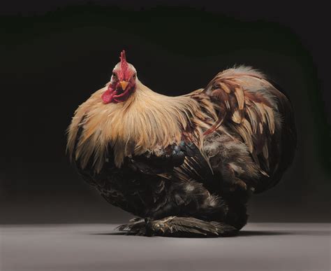 “the Sexiest And Most Beautiful Chickens On The Planet” By Moreno Monti
