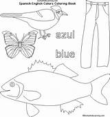 Spanish Blue Colors Azul Enchantedlearning Subscribers Estimate Preschool 1st Grade Level sketch template