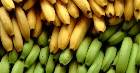Bananas Being Threatened By A Disease