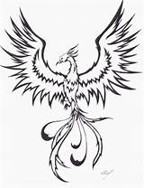 Phoenix Drawing Bird Drawings Coloring Tattoo Line Rising Tattoos Simple Tribal Realistic Pages Ashes Outline Dessin Pheonix Deviantart Easy Draw sketch template