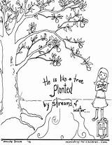 Coloring Pages Psalm Printable Bible Tree Olive Sunday Christian Roots School Verse Water Planted Psalms Streams Praise Children Trees African sketch template