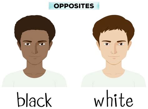 adjectives  black  white   vectors
