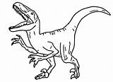 Jurassic Cretaceous Colorir Kolorowanka Kleurplaat Velociraptor Malvorlagen Indoraptor Dinosaurios Dinosaurio Morningkids Kelas Menggambar Dinosaurier Indominus Tyrannosaurus Coloriages sketch template