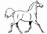 Colorare Disegni Horse Cavallo Trotto sketch template