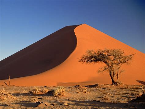 namib desert