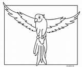 Parrot Papagei Ausmalbilder Wings Cool2bkids Drawings Parrots sketch template
