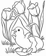 Coloring Spring Pages Kids Tulips Egg sketch template