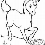 Horse Coloring Pages Template Baby Outline Miniature Sketch Poulain Animal Dessin Farm Templates Facile Horses Color Pony Sheets Print Mom sketch template
