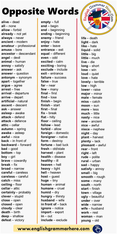 Common Opposite Words List English Grammar Here