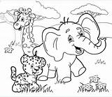 Colorear Selva Dibujos Jungle Tigre sketch template