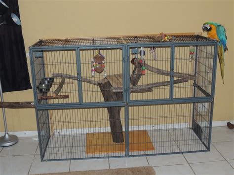 interesting home  parrot cage bird toys  pinterest bird