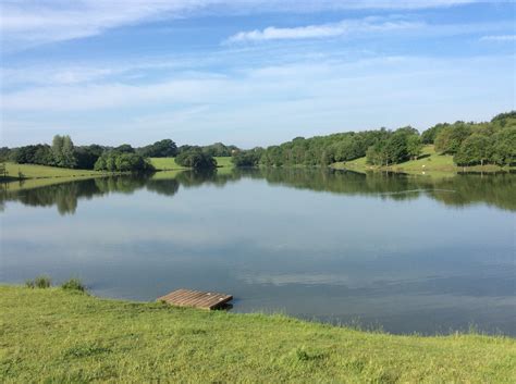 fishing lakes   uk  top  fisherverse