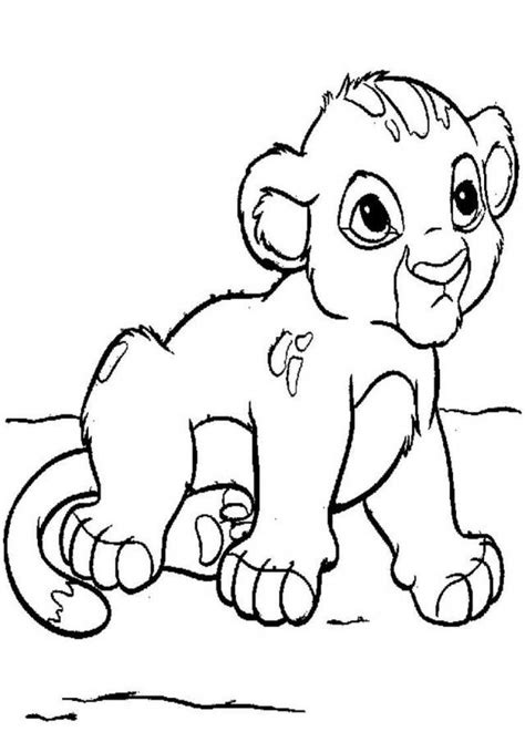 kids page baby lion cub  kids  coloring pages