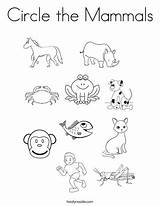 Mammals Circle Coloring Worksheet Animal Pages Worksheets Kindergarten Preschool Grade Kids Printable Activities Twisty Preescolar Twistynoodle Choose Board sketch template