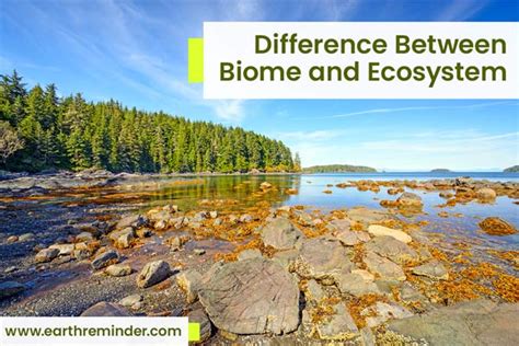 major difference  biome  ecosystem earth reminder
