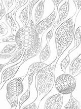Algae sketch template
