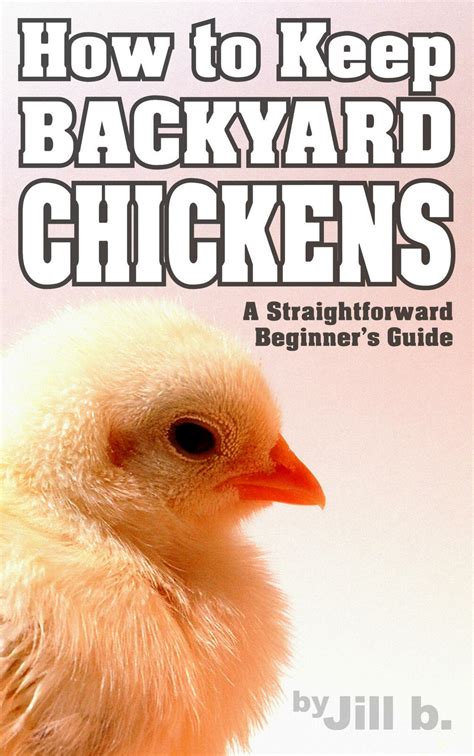 backyard chickens  straightforward beginners guide