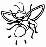 Firefly Coloring Clipart Lightning Bug Fireflies Pages Clip Insect Bugs Color Printable Insects Fly Animals Fire Sheet Kids Drawing Cliparts sketch template