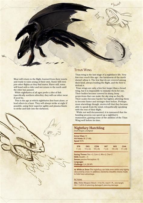 Dnd 5e Homebrew — How To Train Your Dragon’s Nightfury By