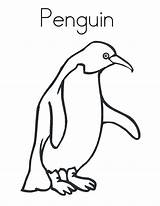Penguin Humboldt Coloring Realistic Drawing Pages Color Penguins Kids Kidsplaycolor Play Drawings sketch template