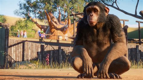 planet zoo   offline version  franchise mode  beta players