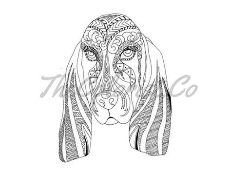 basset hound coloring page  art print
