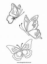 Farfalle Farfalla Schmetterling Sommerfugle Ricamo Tegninger Disegnidacolorare Matita Bastelvorlage Pirografo Sommerfugl Tegning Hummingbird Semplici Nemme Patrones Borboletas Cerca Pomodoro Mariposas sketch template