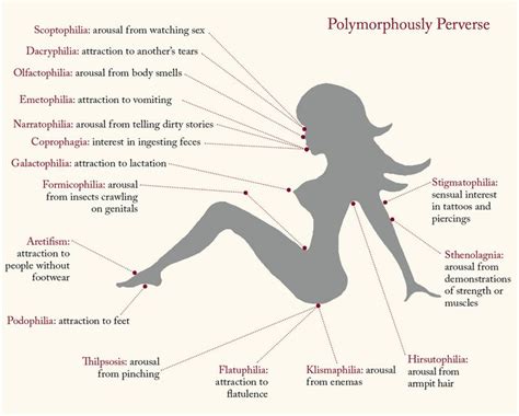 74 best sexology human sexuality images on pinterest certificate