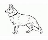 German Shepherd Puppy Lineart sketch template