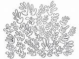 Matisse Coloring Pages Henri Colouring Drawing Snail Book Template Drawings Google Cutouts Tagged Color Homework Club Pattern Choose Board Visit sketch template