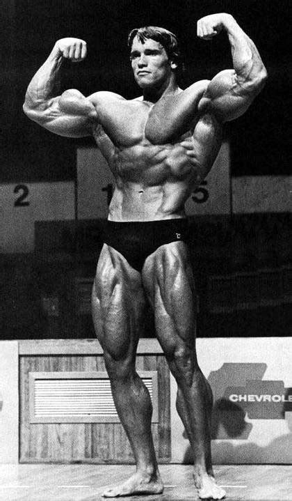 arnold schwarzenegger the legend of bodybuilding