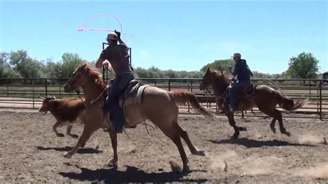 cowboy roping youtube